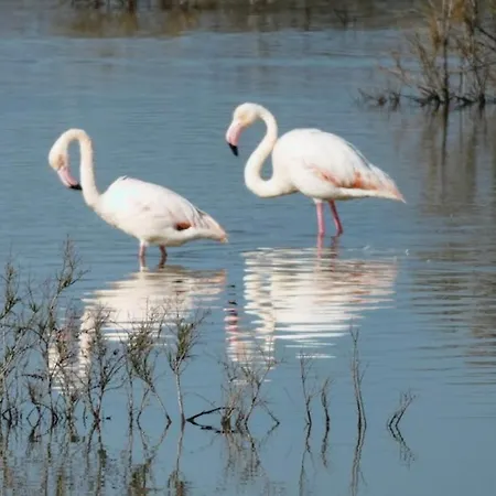 Apartment Sea View Penthouse *