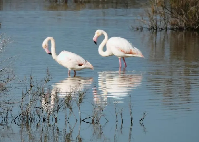 Апартаменти Sea View Penthouse *